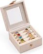 Glass Jewelry Display Case